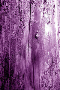 紫色的旧树纹理设计的背景和纹理摘要图片