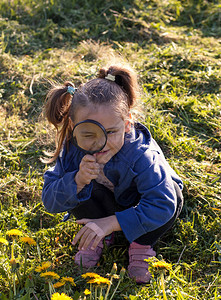 小女孩用放大镜看着大自然中的植物图片