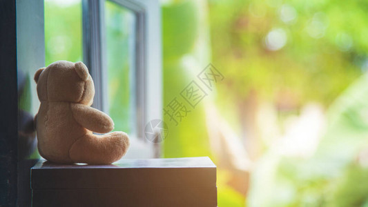 孤独的泰迪熊坐在一本书上窗户图片