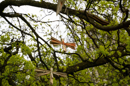 树上挂着手工制作的传统稻草簧娃图片