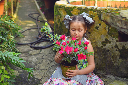 孩子种植春天的花朵小女孩园丁种植杜鹃花照顾植物的孩子女孩在花盆里图片