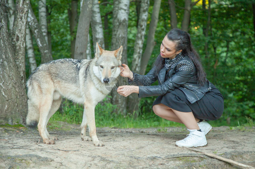 年轻的年轻女子与volkosob狼狗在大自图片