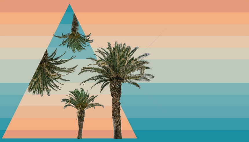 美丽的抽象超真实棕榈树几何景观拼图概念当代颜色和社会背景图片