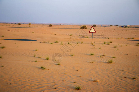 沙漠中被沙丢图片