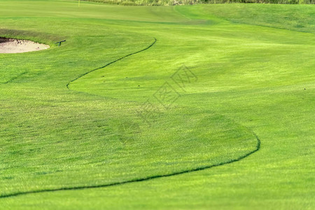 在阳光明媚的一天观看的高尔夫球场图片