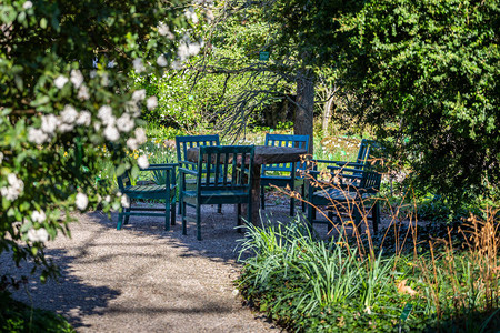 绿色木椅和公园的石头桌图片