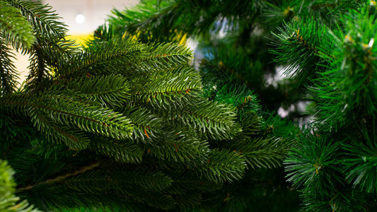人造圣诞树绿色云杉枝特写背景壁纸设计环保假新年云杉鲜绿色图片