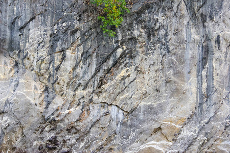 岩石纹理背景的悬崖图片