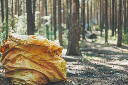 树林里的大垃圾袋在森林里捡垃圾图片