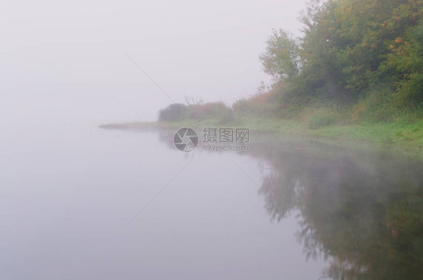 浓雾中长满草丛的池塘岸边图片