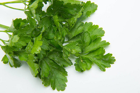 Parsley是一种绿色食用草药图片