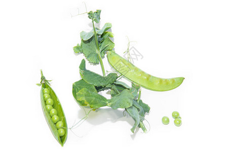 白种背景孤立的绿豆健康营养概念图片