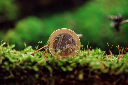 Eurocent关于绿色苔藓钱图片