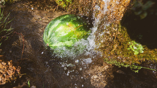 西瓜冷却在清澈的泉水中夏图片