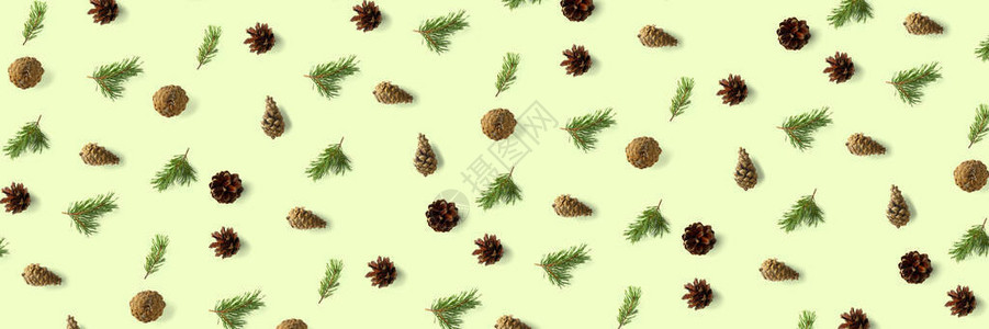 创意松果圣诞背景绿色松枝和球果最小的创意锥排列模式平躺图片
