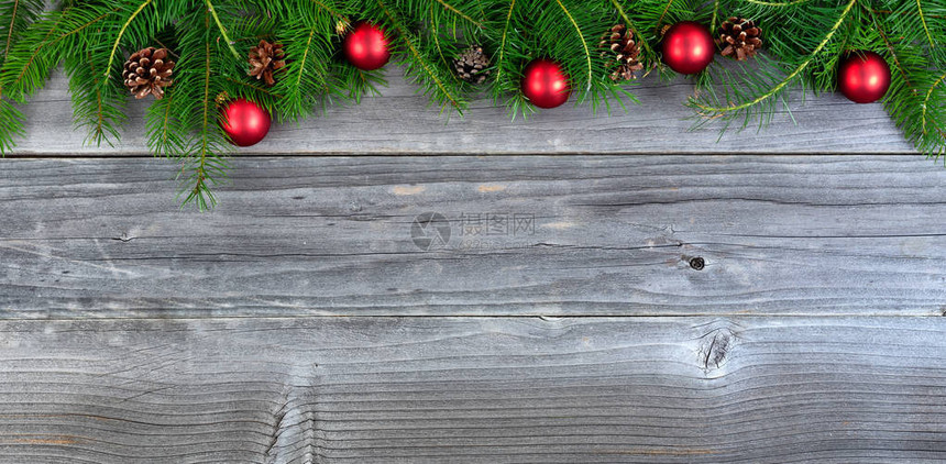 真实的圣诞树枝和风化木材上的红装图片