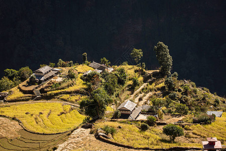 在尼泊尔喜马拉雅山上旅行时图片