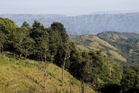 通向山谷的陡峭的树木覆盖的山坡图片