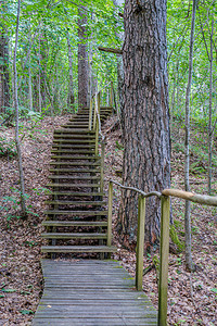 林绿色夏日为自然娱乐活动提供有楼梯的老图片
