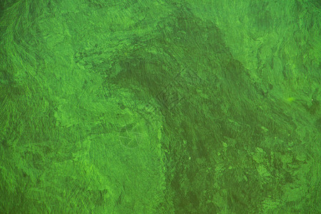 盛开的绿水绿藻污染河流图片