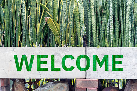 欢迎在花盆和院子里植物的欢迎词背景图片