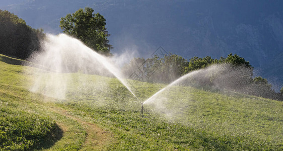 Sprinkler夏天在斯威瑟图片