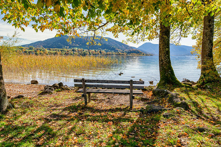 田园诗般的再生之地湖边的长凳图片