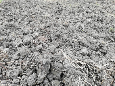 准备在哥伦比亚耕种的土壤图片