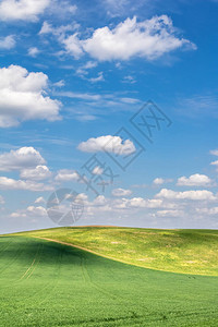 春青绿田和草原的垂直弹射图片