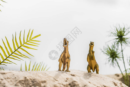 玩具恐龙有选择焦点在沙丘上咆哮图片