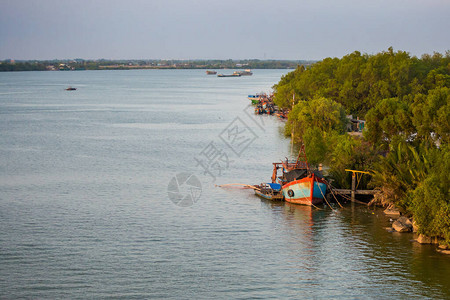 越南河三角洲湄公河地区图片