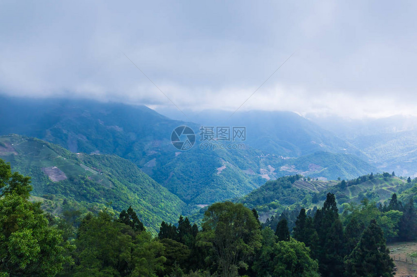 南投清境农场风景图片