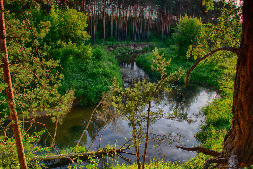 波兰春日神秘的格拉比亚河图片