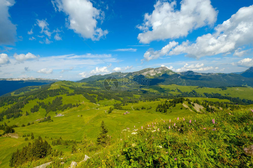 Habkern村附近的瑞士夏季山丘全景观图片