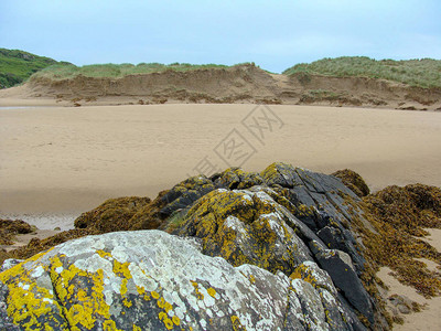 海岸线退水沙海藻岩石和图片