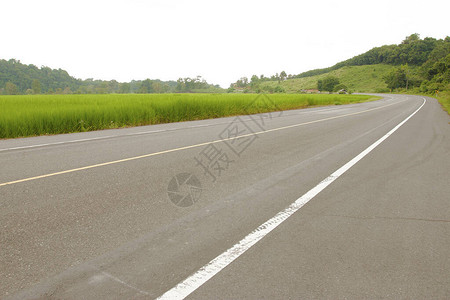 山谷里的乡间小路有绿色的稻田图片