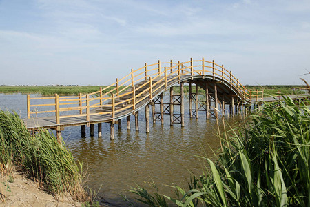 湿地公园的木桥图片