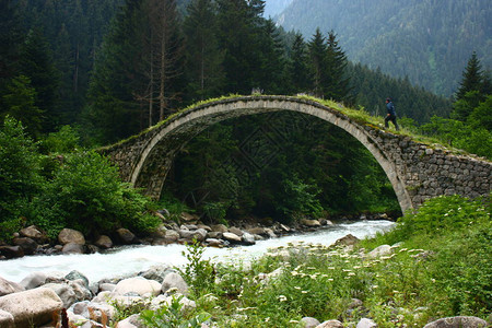 黑海地区Firtina山谷历史石桥图片