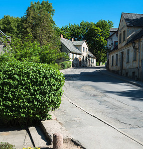 街道两侧都有房屋装饰灌木和左侧有大树的铺图片
