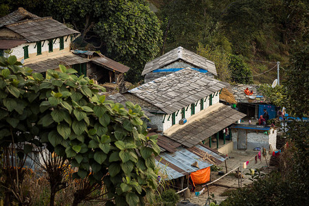 尼泊尔喜马拉雅山上传统房屋的漫步校图片