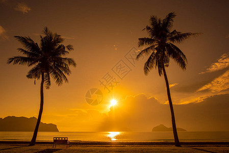 太阳月光椰子棕榈树海滩图片