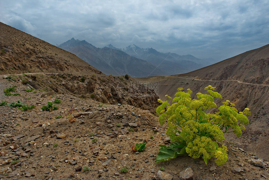 中亚塔吉克斯坦潘吉河边界附图片