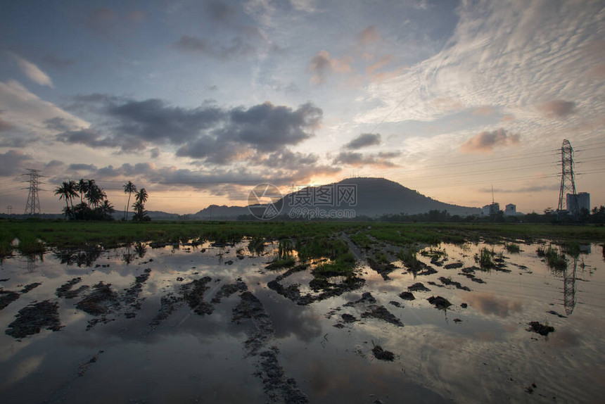 水稻田的反射湿地刚经过洪水季节图片