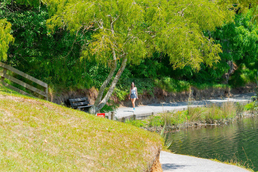 新西兰陶加市McLarenFalls公园湖周围的一条路图片