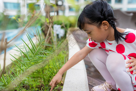 小女孩看绿色植物图片