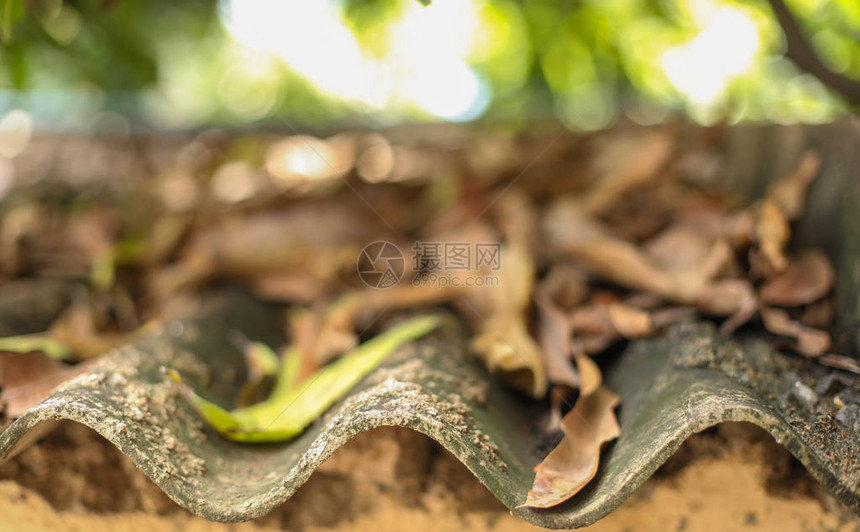 美丽的秋天风景阳光背景的b图片