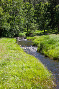 一条小溪从黑山的森林流出进入一片青草和阳图片