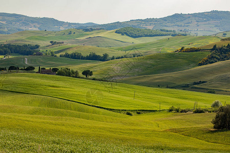 意大利山区绿河谷全背景图片