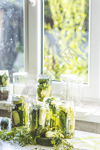 准备腌制的新鲜黄瓜腌制保存罐在阳光明媚的夏季图片