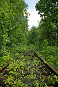 俄罗斯森林中的废弃铁路图片